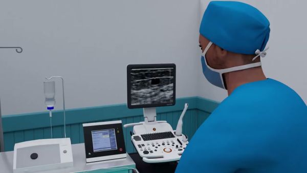 biolitec medical laser lightguides